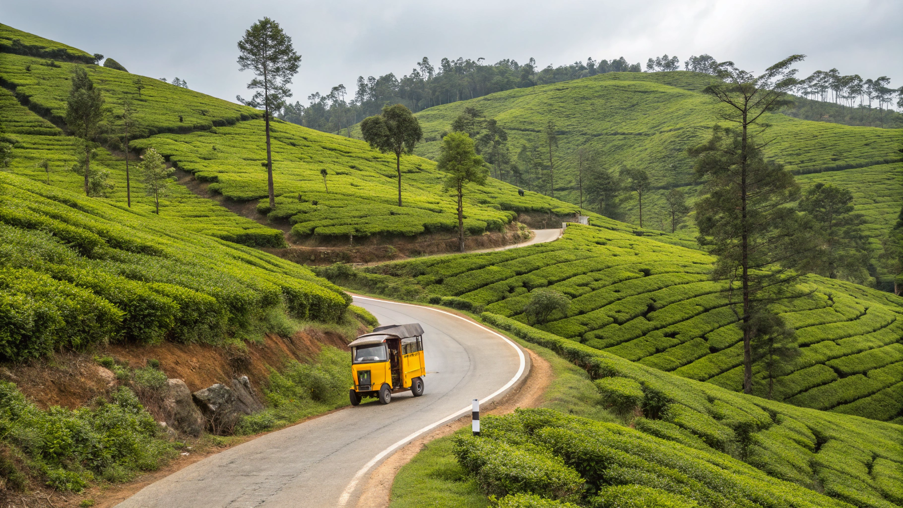 Sprawling green tea plantations on the mist-covered hills of Munnar